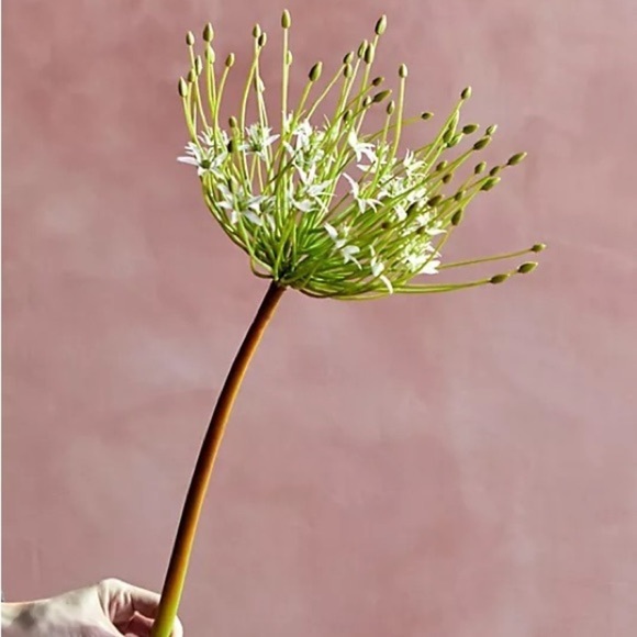 Anthropologie Terrain Faux Allium Stem - Picture 1 of 8